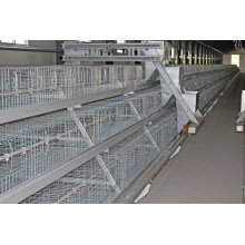Poultry Farm Equipment Chicken Cage